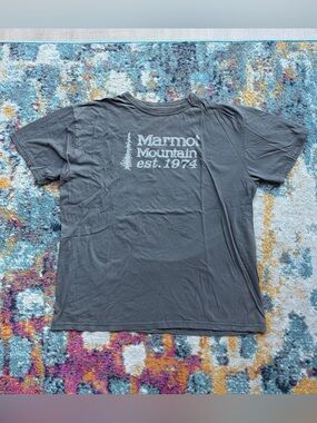 Y2K Marmot shirt